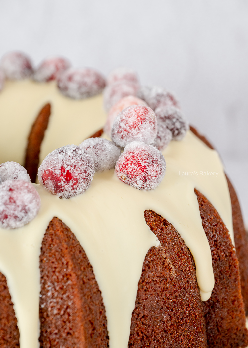 gingerbread bundt cake with white chocolate and sugared cranberries